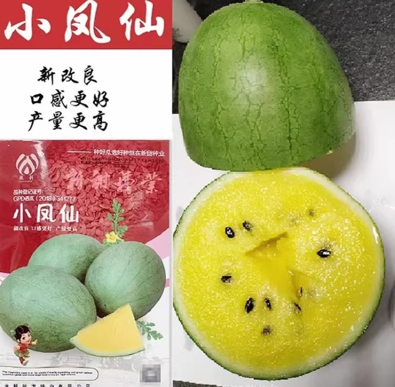 小凤仙西瓜种子改良黄瓤小西瓜早熟绿核桃皮黄肉香甜西瓜种籽