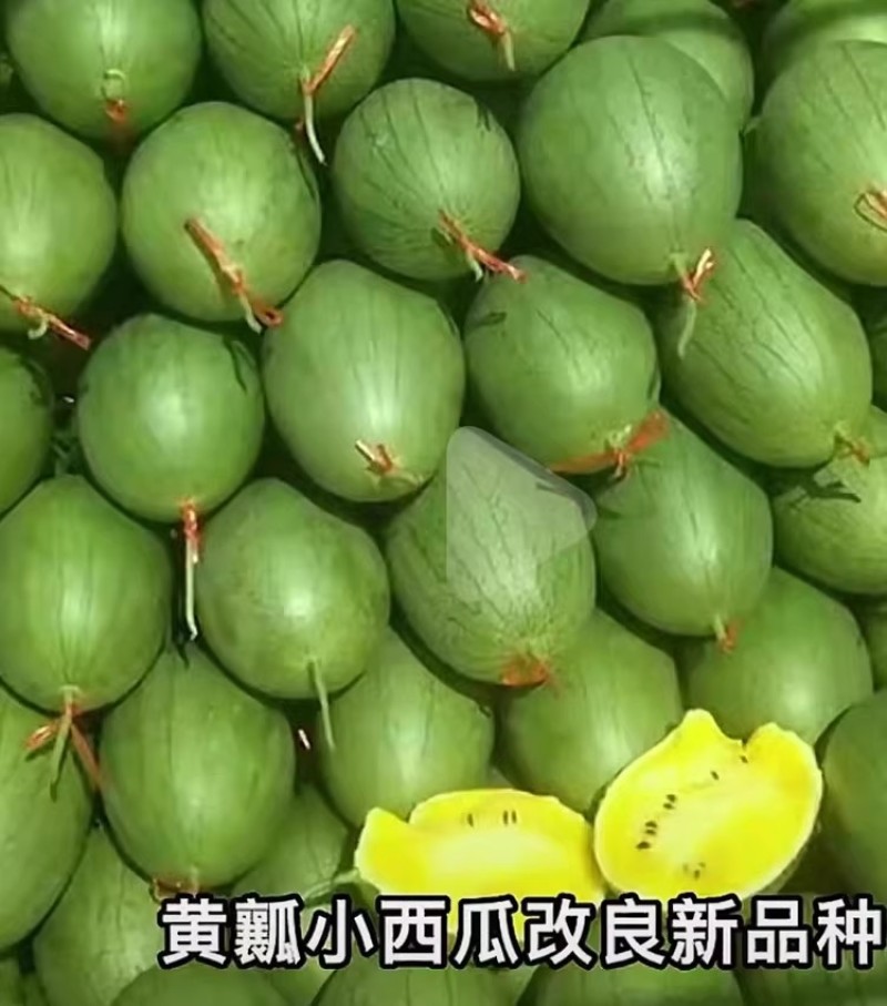 小凤仙西瓜种子改良黄瓤小西瓜早熟绿核桃皮黄肉香甜西瓜种籽