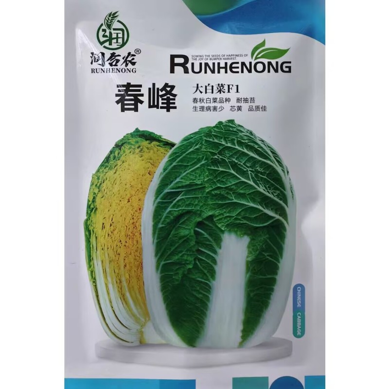 春峰白菜种子春季黄芯早熟大白菜种籽耐抽苔抗病优质春播白菜