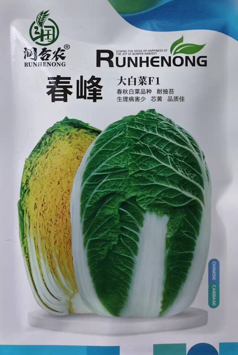 春峰白菜种子春季黄芯早熟大白菜种籽耐抽苔抗病优质春播白菜