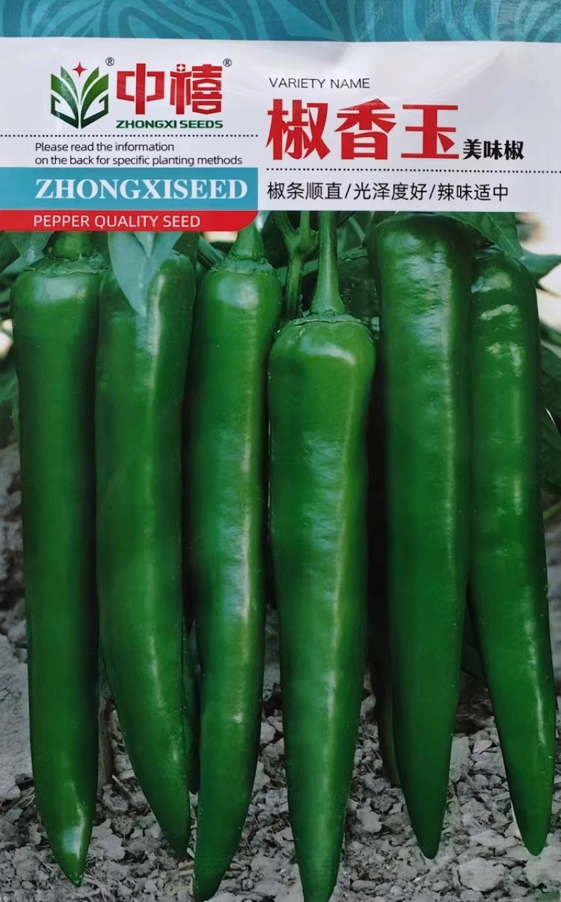 椒香玉辣椒种子美味椒光滑顺直深绿羊角椒种籽青尖椒辣味适中