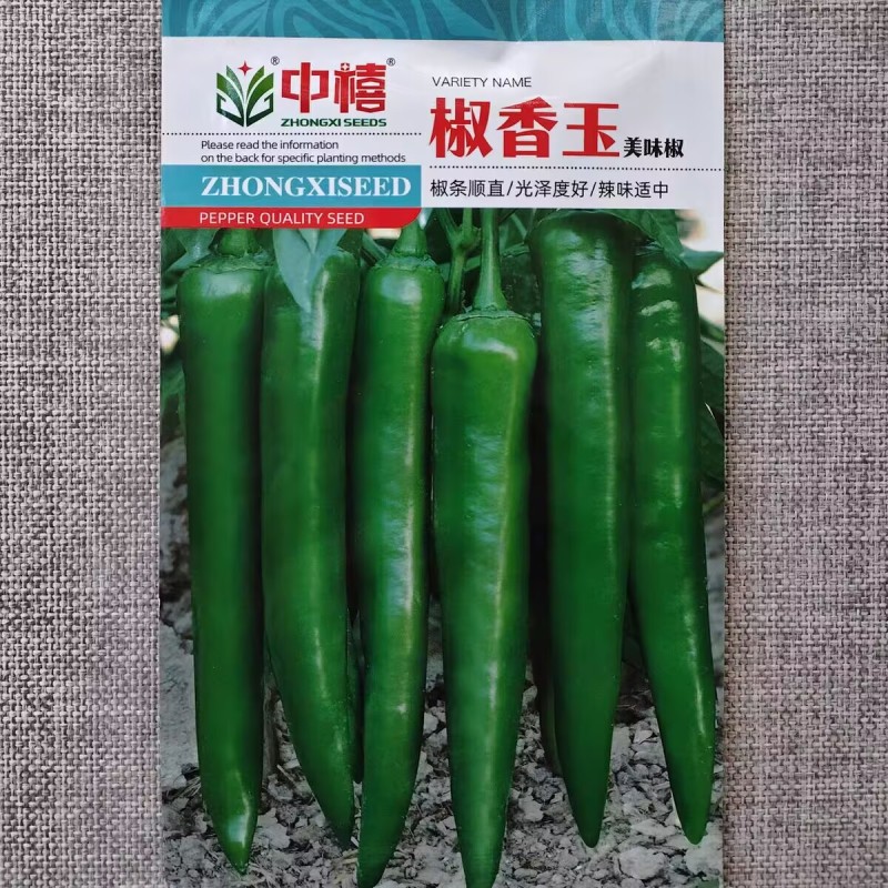 椒香玉辣椒种子美味椒光滑顺直深绿羊角椒种籽青尖椒辣味适中