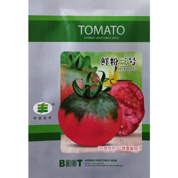 鲜粉三号口感型草莓番茄种子早春越冬高秧粉红果带绿肩西红柿
