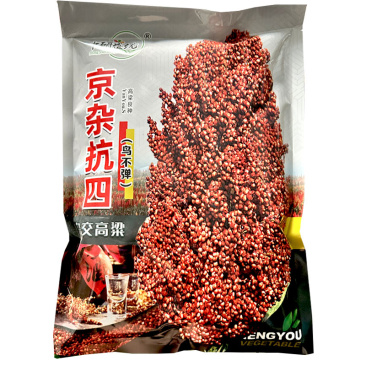 京杂抗四杂交高粱种子中熟110天抗旱抗盐碱耐水肥亩产高