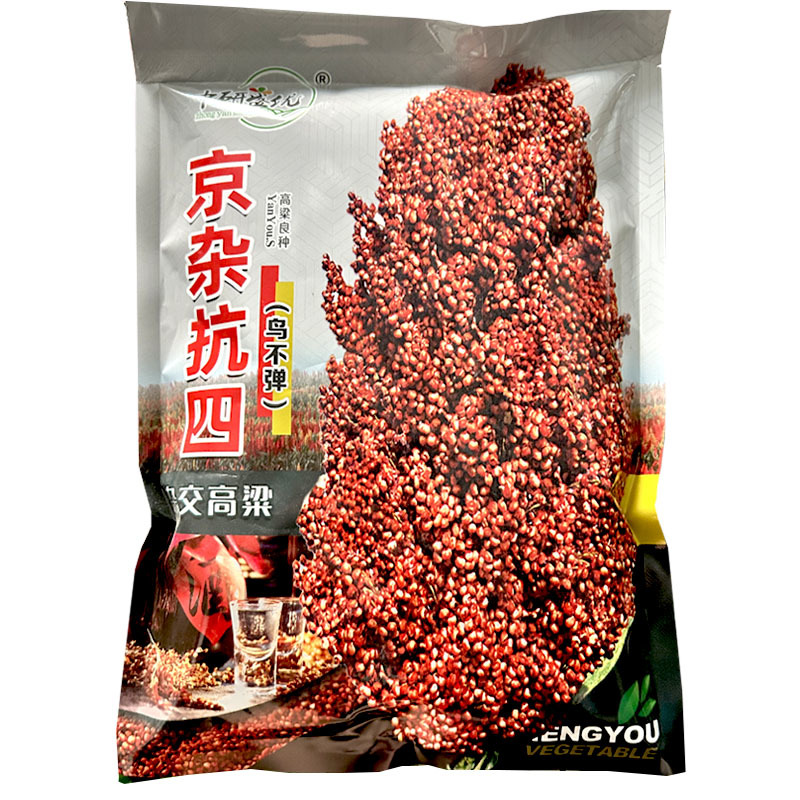 京杂抗四杂交高粱种子中熟110天抗旱抗盐碱耐水肥亩产高