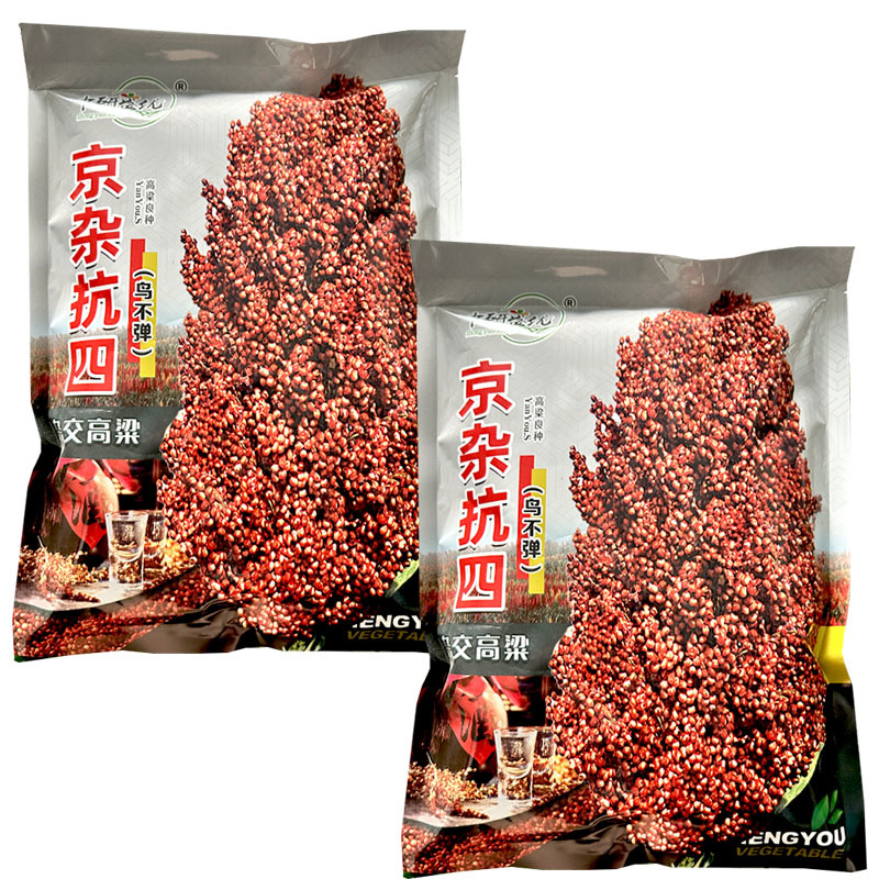 京杂抗四杂交高粱种子中熟110天抗旱抗盐碱耐水肥亩产高
