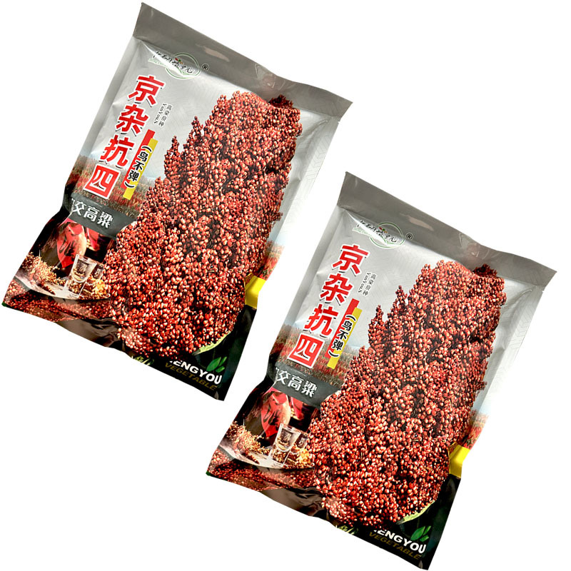 京杂抗四杂交高粱种子中熟110天抗旱抗盐碱耐水肥亩产高