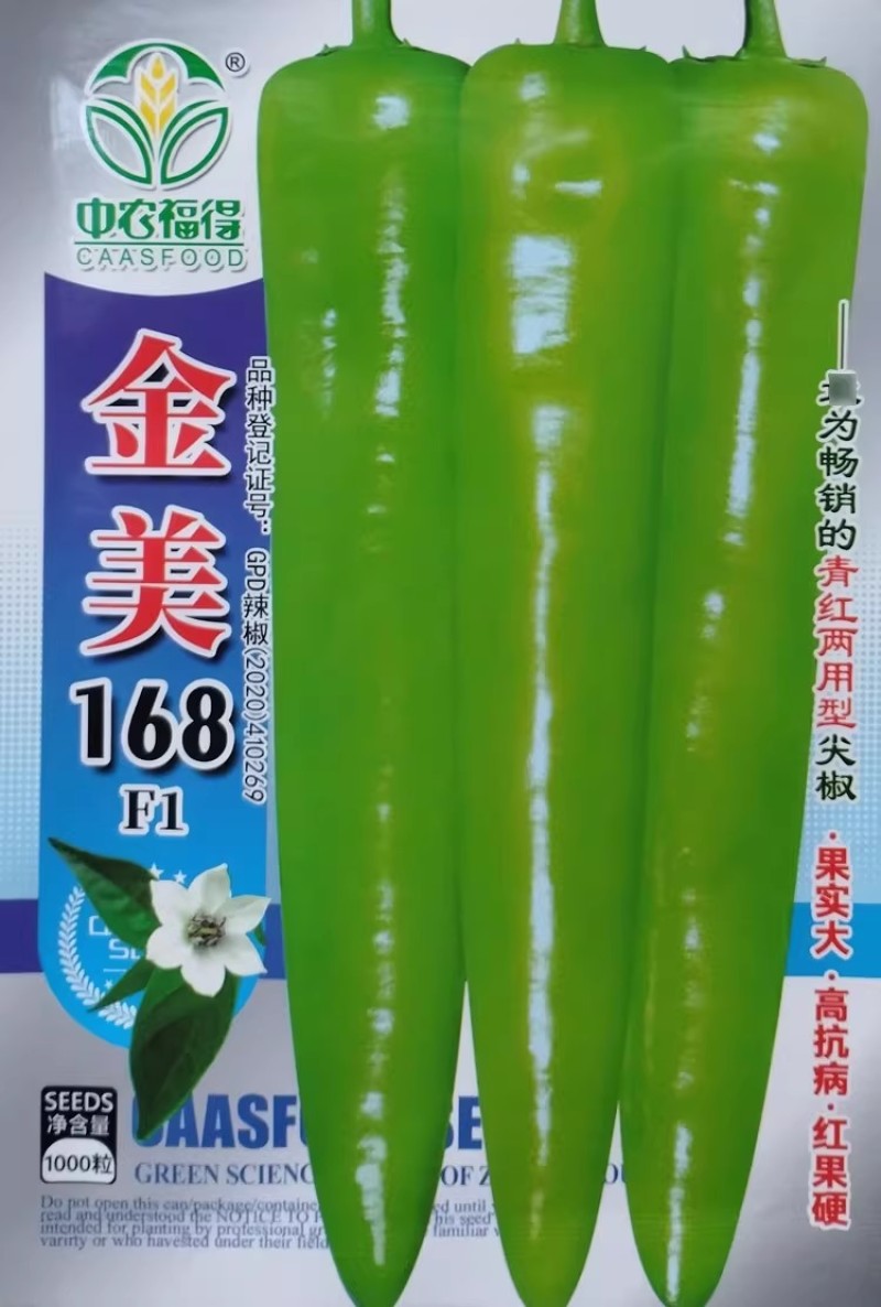 金美168青红两用尖椒种子大果型抗病杂交早熟特长黄绿皮