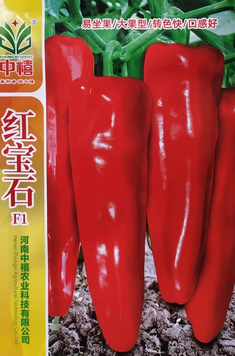 红宝石辣椒种子早熟长粗大果牛角椒红辣椒种籽转色快青果油绿