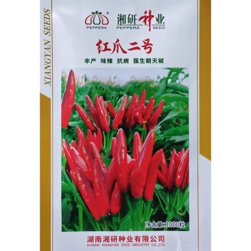 红爪二号簇生朝天椒种子尖椒种籽香辣味浓高产辣椒抗病耐湿热