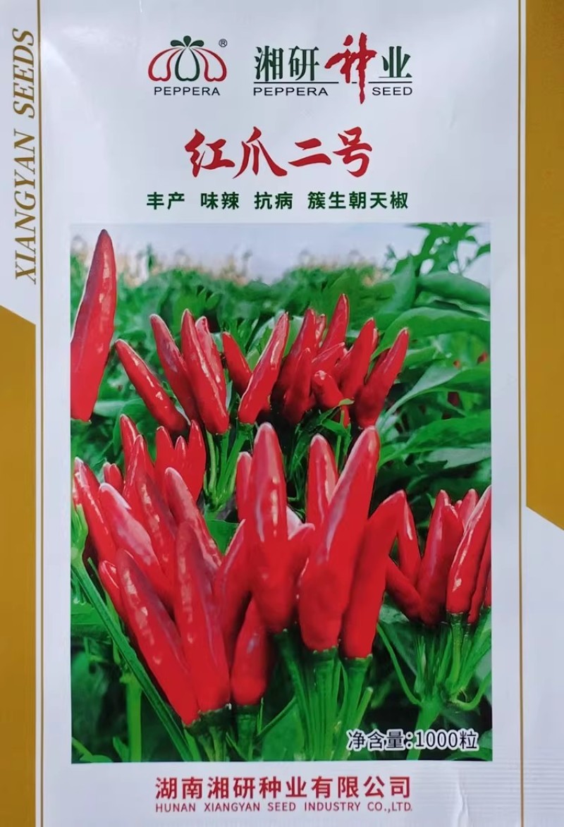 红爪二号簇生朝天椒种子尖椒种籽香辣味浓高产辣椒抗病耐湿热