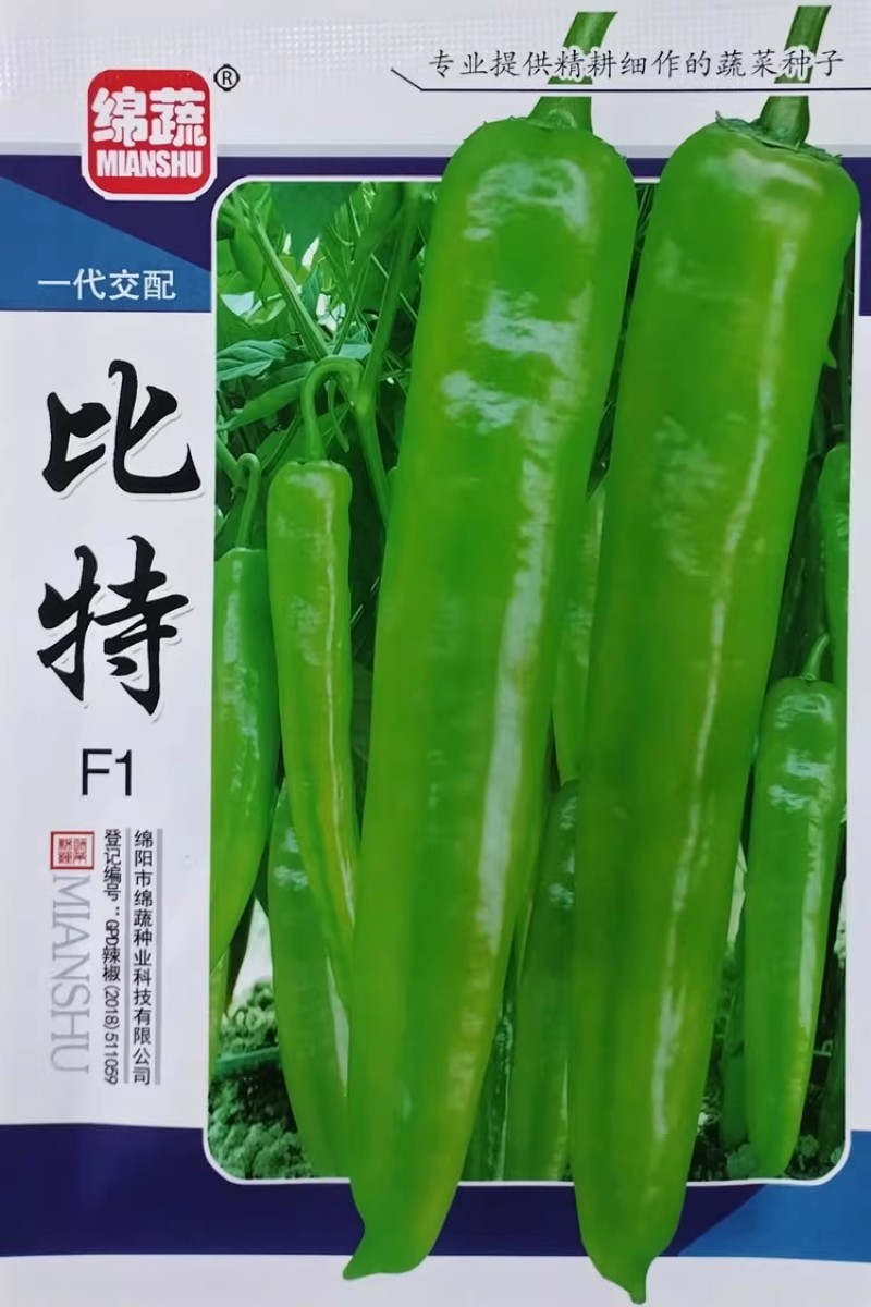 比特黄皮尖椒种子中熟杂交牛角椒种籽青果黄绿老熟果红色微辣