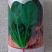 火焰山菠菜种子丹麦杂交墨绿菠菜种籽耐热耐寒抗病越夏菠菜