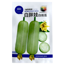 白胖娃油亮顺直早熟杂交节节有花序肉质紧实白丝瓜种子