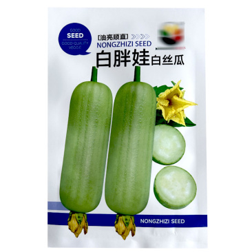 白胖娃油亮顺直早熟杂交节节有花序肉质紧实白丝瓜种子