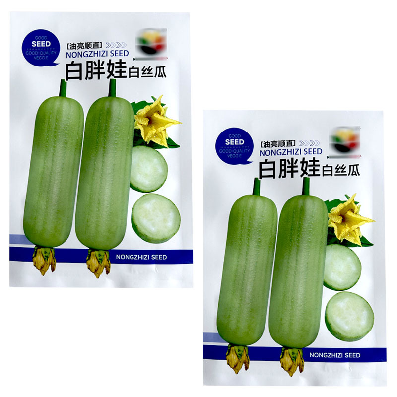 白胖娃油亮顺直早熟杂交节节有花序肉质紧实白丝瓜种子