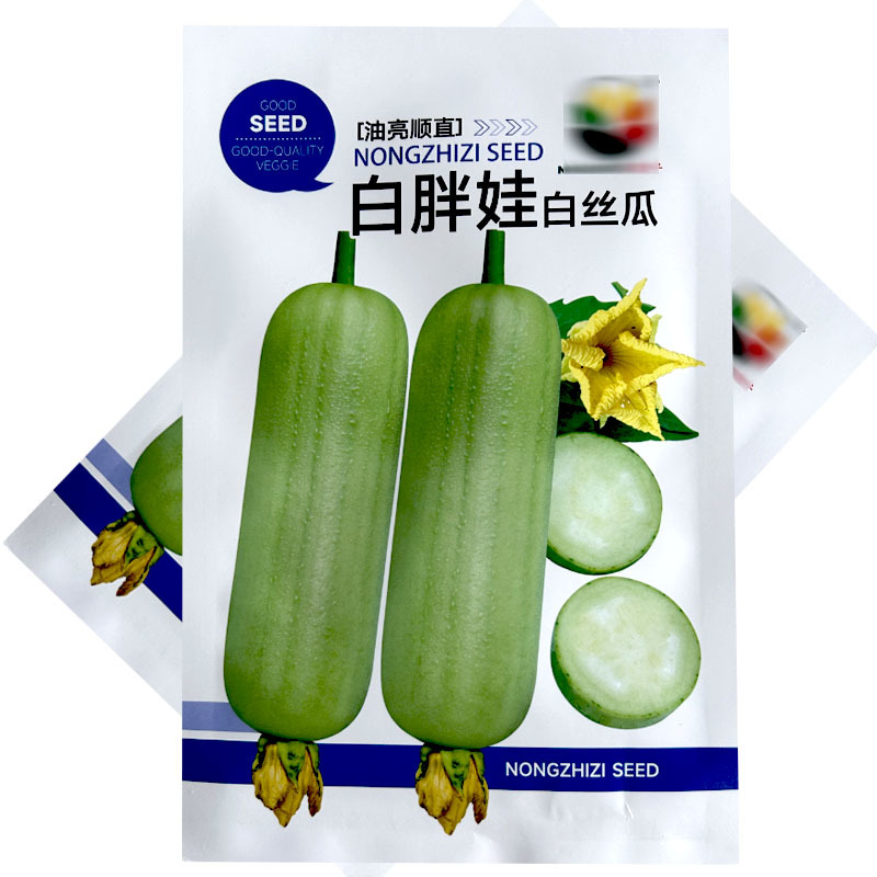白胖娃油亮顺直早熟杂交节节有花序肉质紧实白丝瓜种子