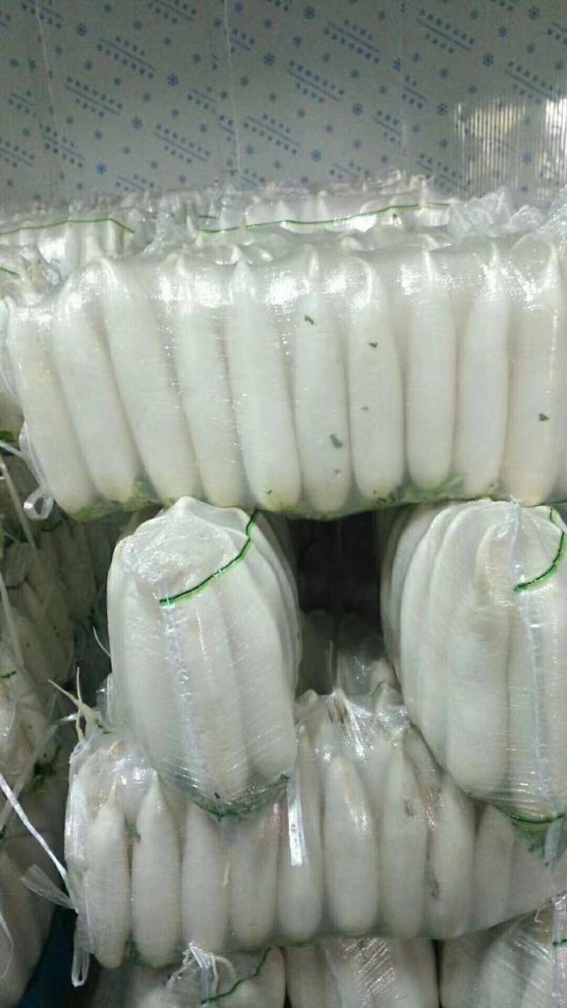 白萝卜几十万斤产地直发量大从优可视频看货价格美丽