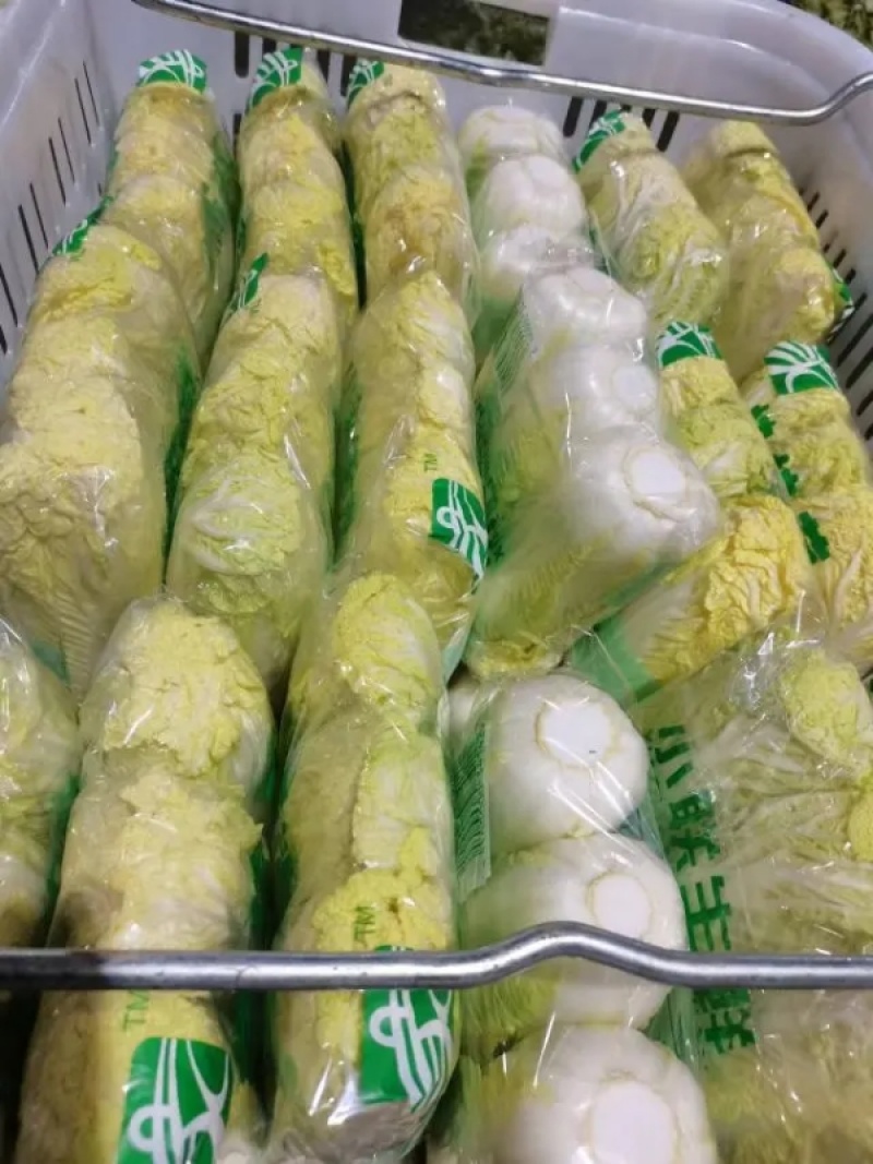 大娃娃菜小娃娃菜保障诚信经营-可接商超欢迎采购