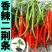 云南鲜辣椒二荆条辣椒全国发货大量上市可视频看货