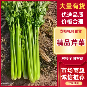 河北芹菜精品芹菜西芹货量充足按需包装全国发货