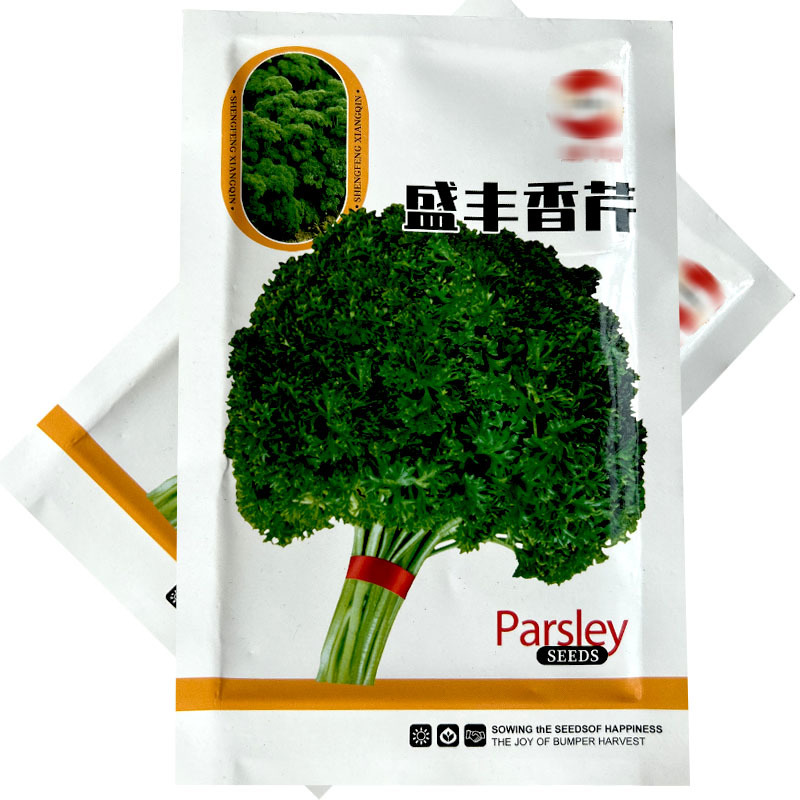 盛丰香芹种子皱叶法香洋芹菜多次采收四季种植易管理