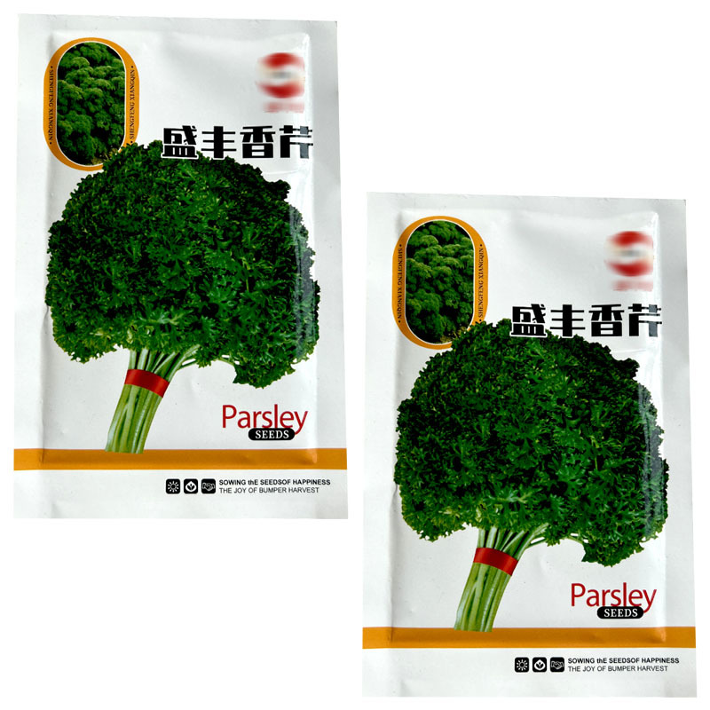 盛丰香芹种子皱叶法香洋芹菜多次采收四季种植易管理