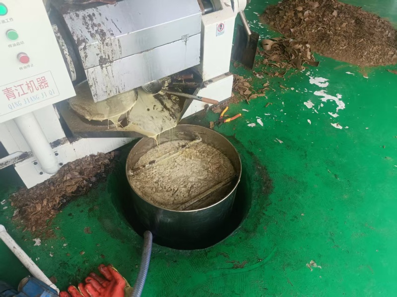 菜籽油纯菜籽油保质保量欢迎各地新老客户进店采购