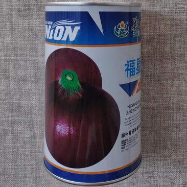 福星洋葱种子紫红鲜亮肉质脆嫩高产优质大果洋葱种籽辣味浓
