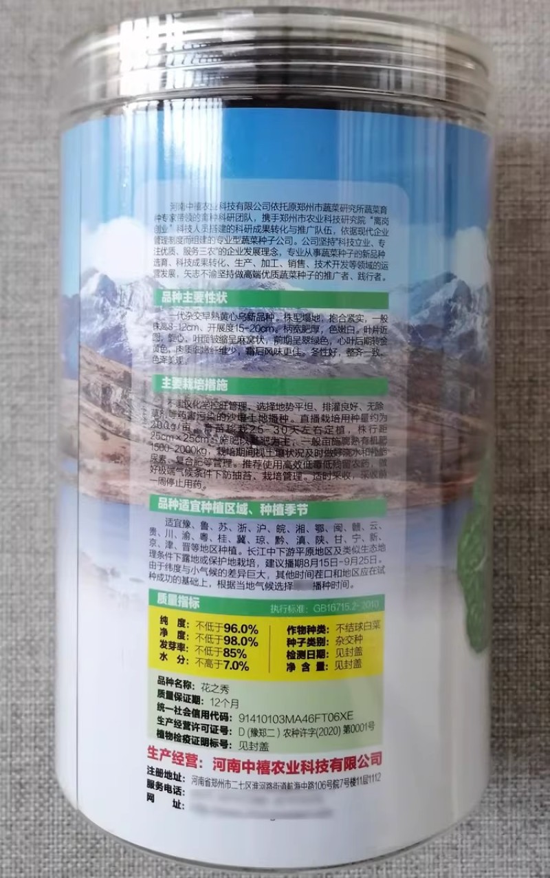中禧花之秀黄心乌种子一代杂交乌塌菜种籽耐寒高产矮棵包心紧