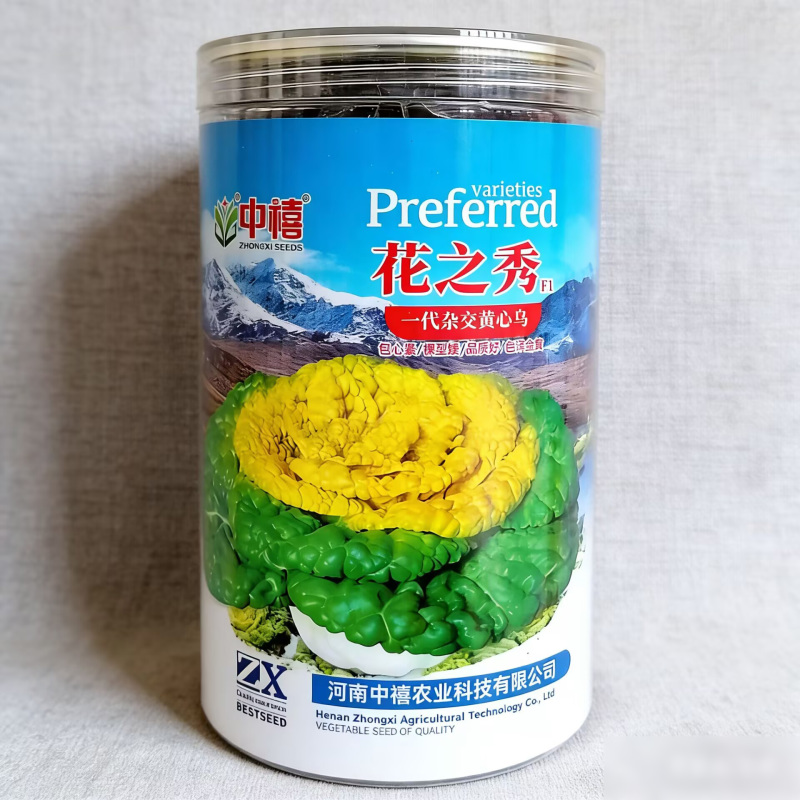 中禧花之秀黄心乌种子一代杂交乌塌菜种籽耐寒高产矮棵包心紧