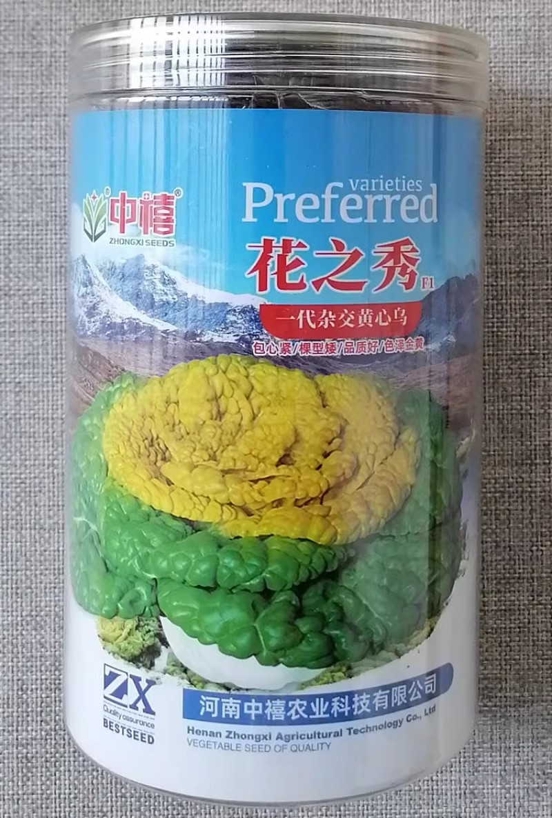 中禧花之秀黄心乌种子一代杂交乌塌菜种籽耐寒高产矮棵包心紧