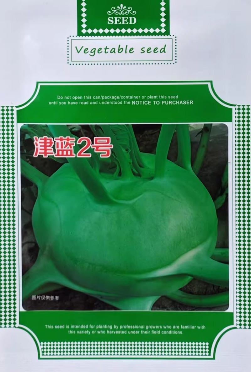 津蓝2号水果丕蓝种子球茎鲜绿扁圆口感甜脆杂交青丕兰种籽