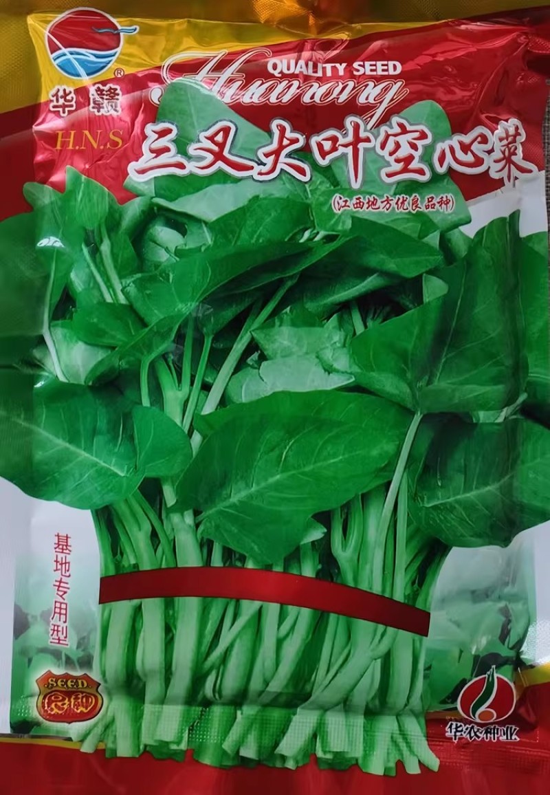 三叉大叶空心菜种子耐热耐寒叶片宽阔四季通心菜种籽高产早熟