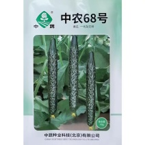 中农68号杂交抗热黄瓜种子短把密刺强雌深绿油亮黄瓜种籽