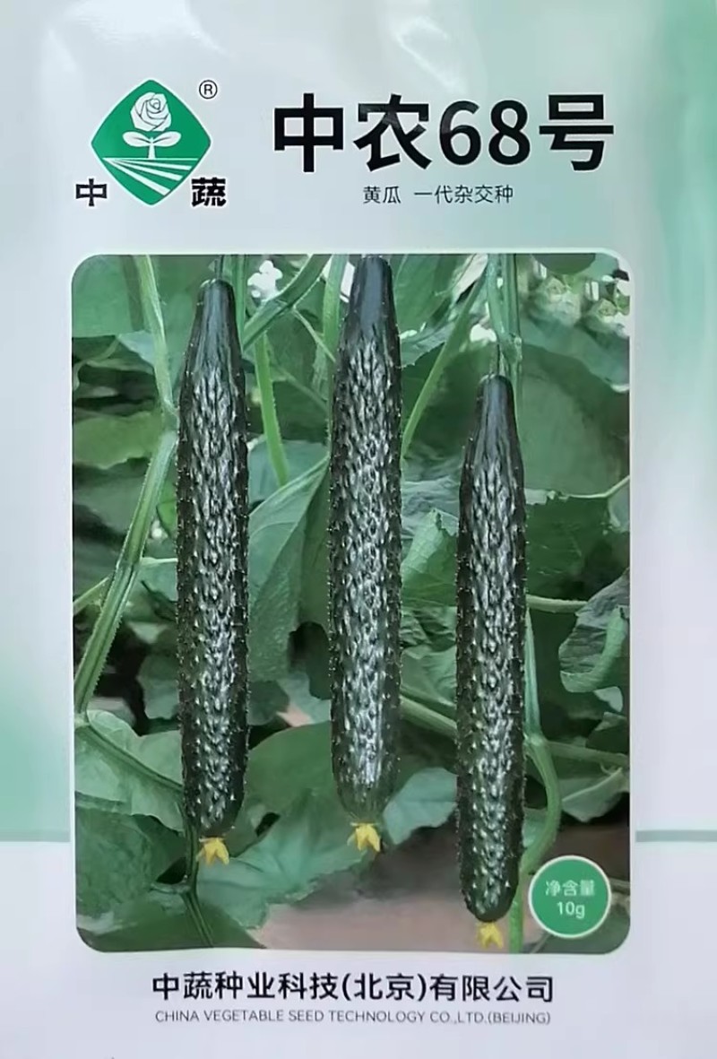中农68号杂交抗热黄瓜种子短把密刺强雌深绿油亮黄瓜种籽