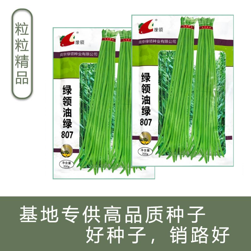绿领绿油807豇豆种子早熟高产耐热四季播大田长豆角原装品