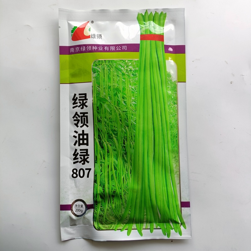 绿领绿油807豇豆种子早熟高产耐热四季播大田长豆角原装品