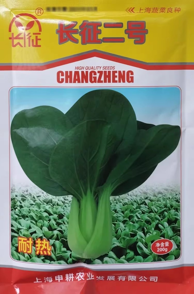 长征二号耐热青梗菜种子叶柄油绿上海青抗病杂交夏秋季大青菜