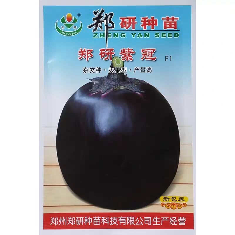 紫冠圆茄种子大果型高产杂交茄子种子紫黑油亮肉质细腻基地用