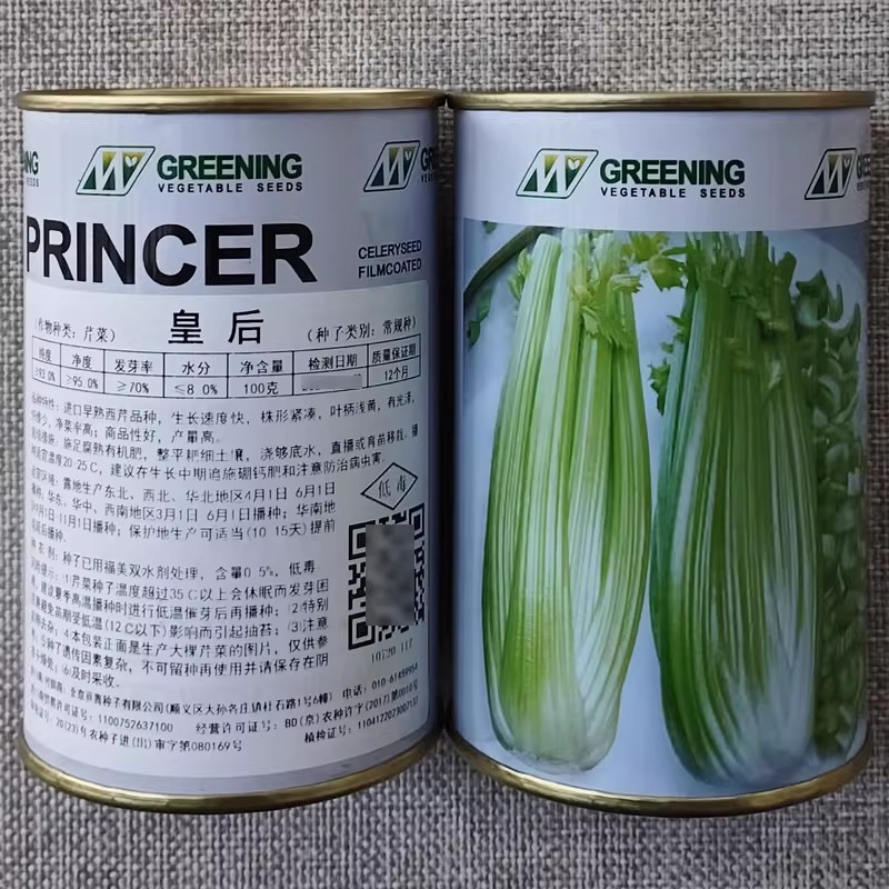 皇后西芹种子法国早熟进口西芹种籽高产长势快净菜率高大田播