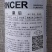 皇后西芹种子法国早熟进口西芹种籽高产长势快净菜率高大田播