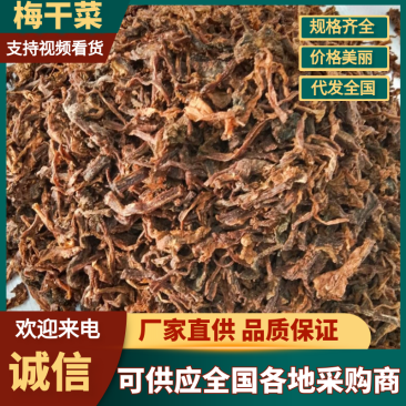 梅菜新晒的保质保量现货供应切段可以做梅菜饼包子