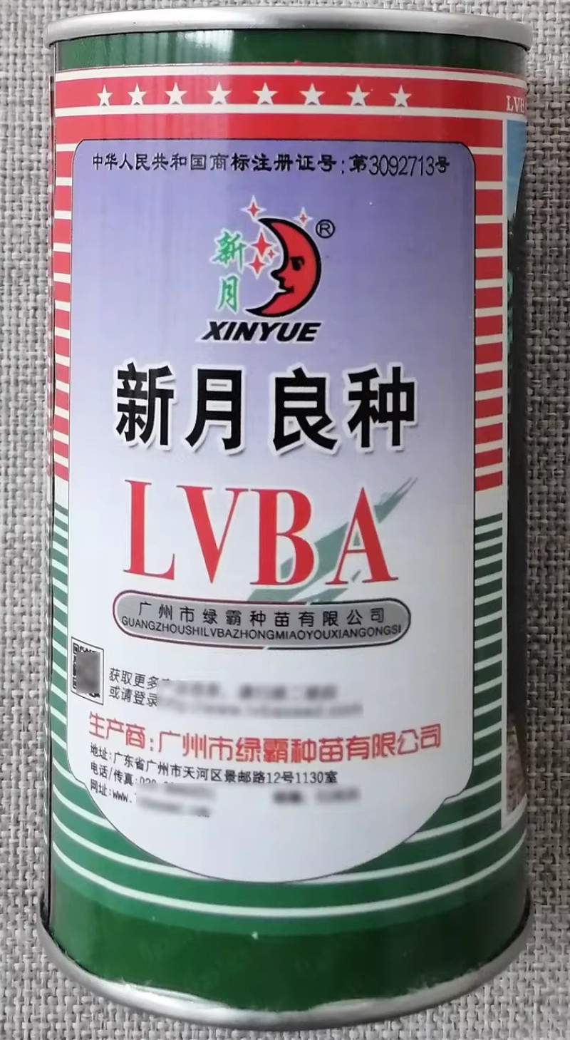 黑旋风冬瓜种子瓜皮墨绿肉质紧实炮弹型冬瓜种籽耐热广东黑皮