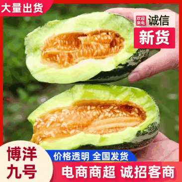 山东寿光博洋9自然熟现摘清甜一件代发鲜果货源批发