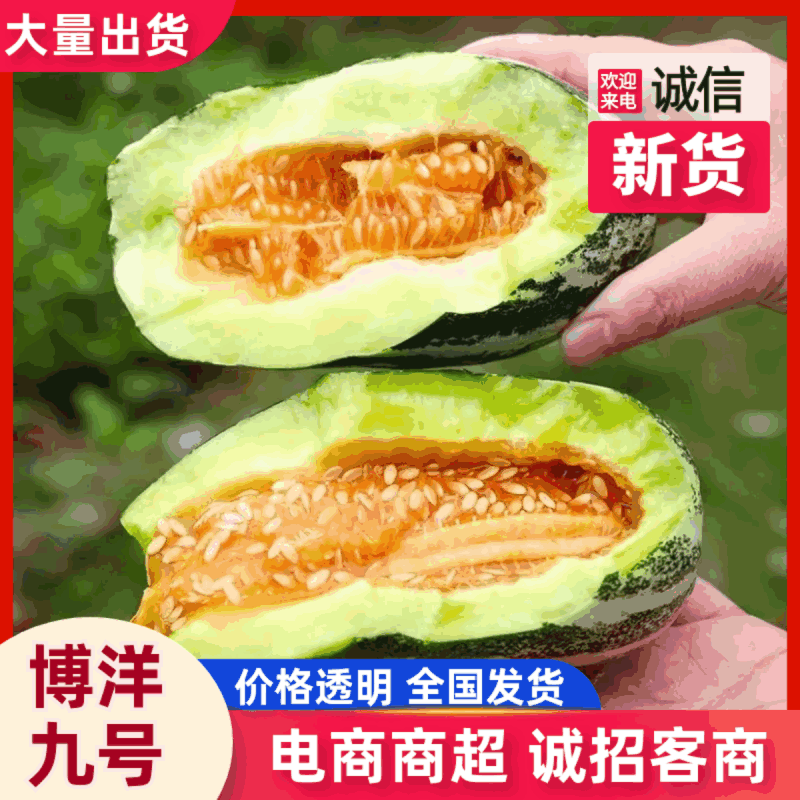山东寿光博洋9自然熟现摘清甜一件代发鲜果货源批发