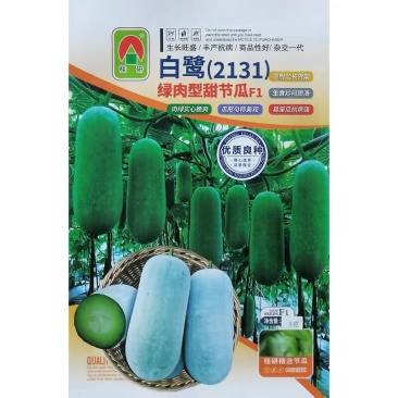 白鹭绿肉型甜节瓜种子冬瓜种子水果小冬瓜种籽脆甜耐贮运