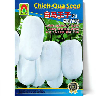 白马王子水果节瓜种子早熟高产粉皮冬瓜种籽肉绿脆甜耐贮运