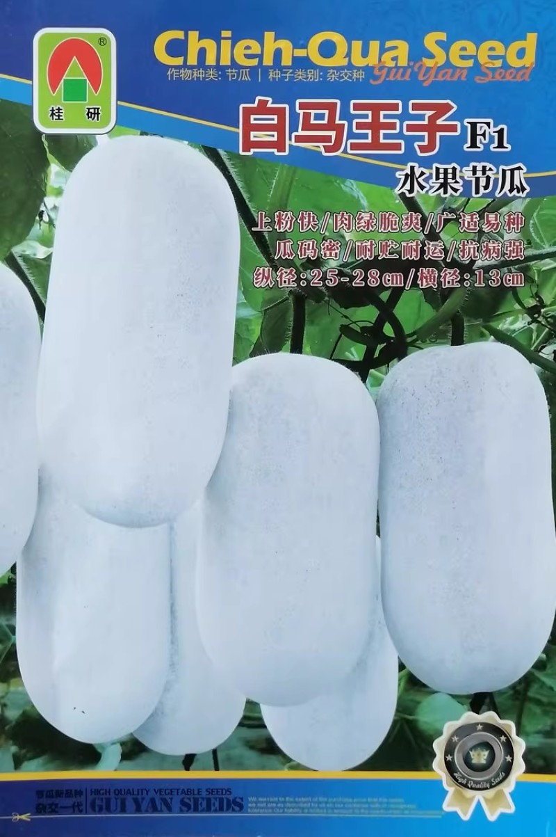 白马王子水果节瓜种子早熟高产粉皮冬瓜种籽肉绿脆甜耐贮运