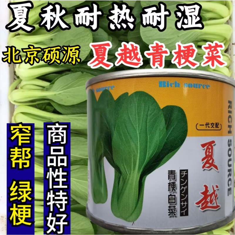 夏越青梗菜种子北京硕源绿梗窄帮青菜小油菜种籽耐热耐湿早熟